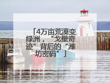 4万亩荒漠变绿洲，“戈壁奇迹”背后的“潍坊密码”