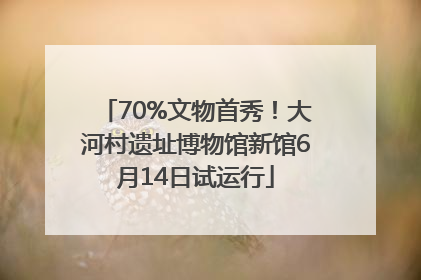 70%文物首秀！大河村遗址博物馆新馆6月14日试运行