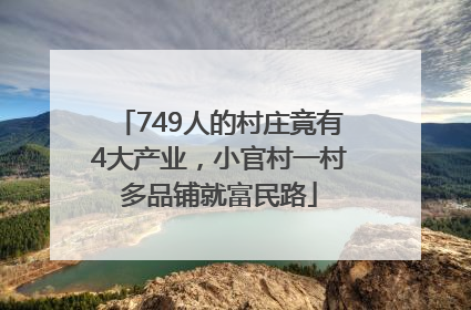 749人的村庄竟有4大产业，小官村一村多品铺就富民路