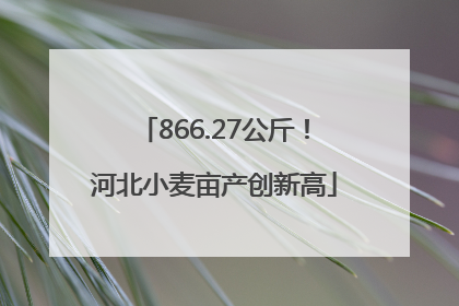 866.27公斤！河北小麦亩产创新高