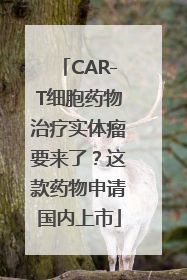CAR-T细胞药物治疗实体瘤要来了？这款药物申请国内上市