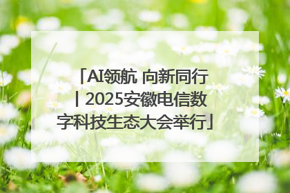 AI领航 向新同行丨2025安徽电信数字科技生态大会举行