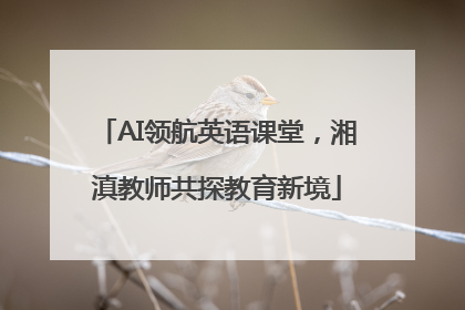 AI领航英语课堂，湘滇教师共探教育新境