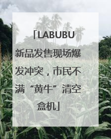 LABUBU新品发售现场爆发冲突，市民不满“黄牛”清空盒机