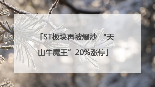ST板块再被爆炒 “天山牛魔王”20%涨停