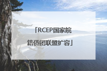 RCEP国家皖籍侨团联盟扩容