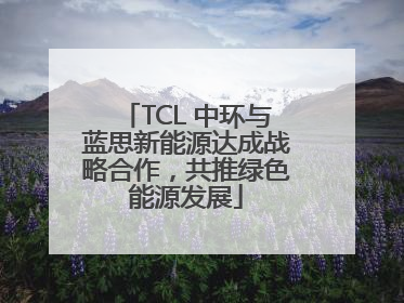 TCL 中环与蓝思新能源达成战略合作，共推绿色能源发展