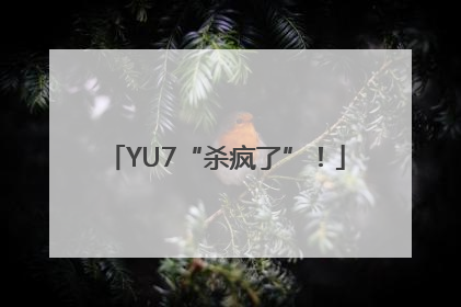 YU7“杀疯了”！